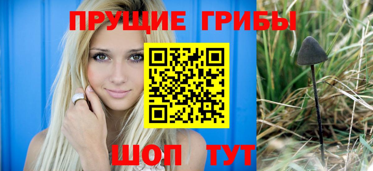 Псилоцибиновые грибы Psilocybine cubensis  Галлюциногенные грибы MAGIC MUSHROOMS  Вход с VPN  Холмск 